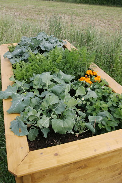 Filled-up raised bed